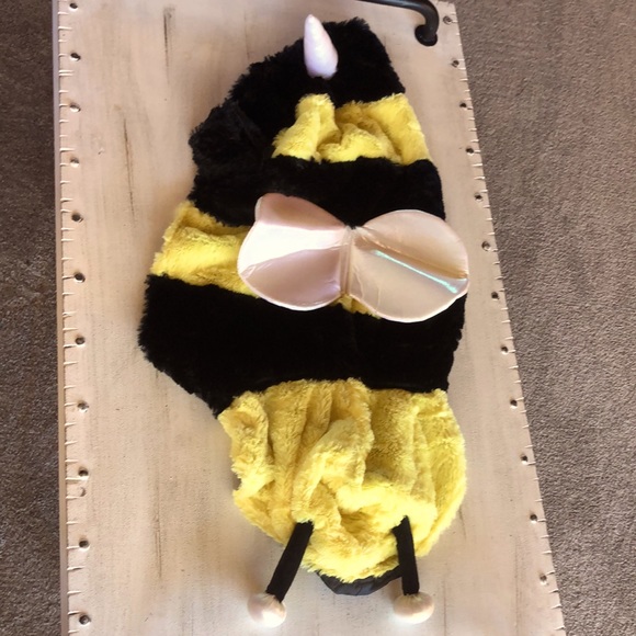 Dog Bee Costume